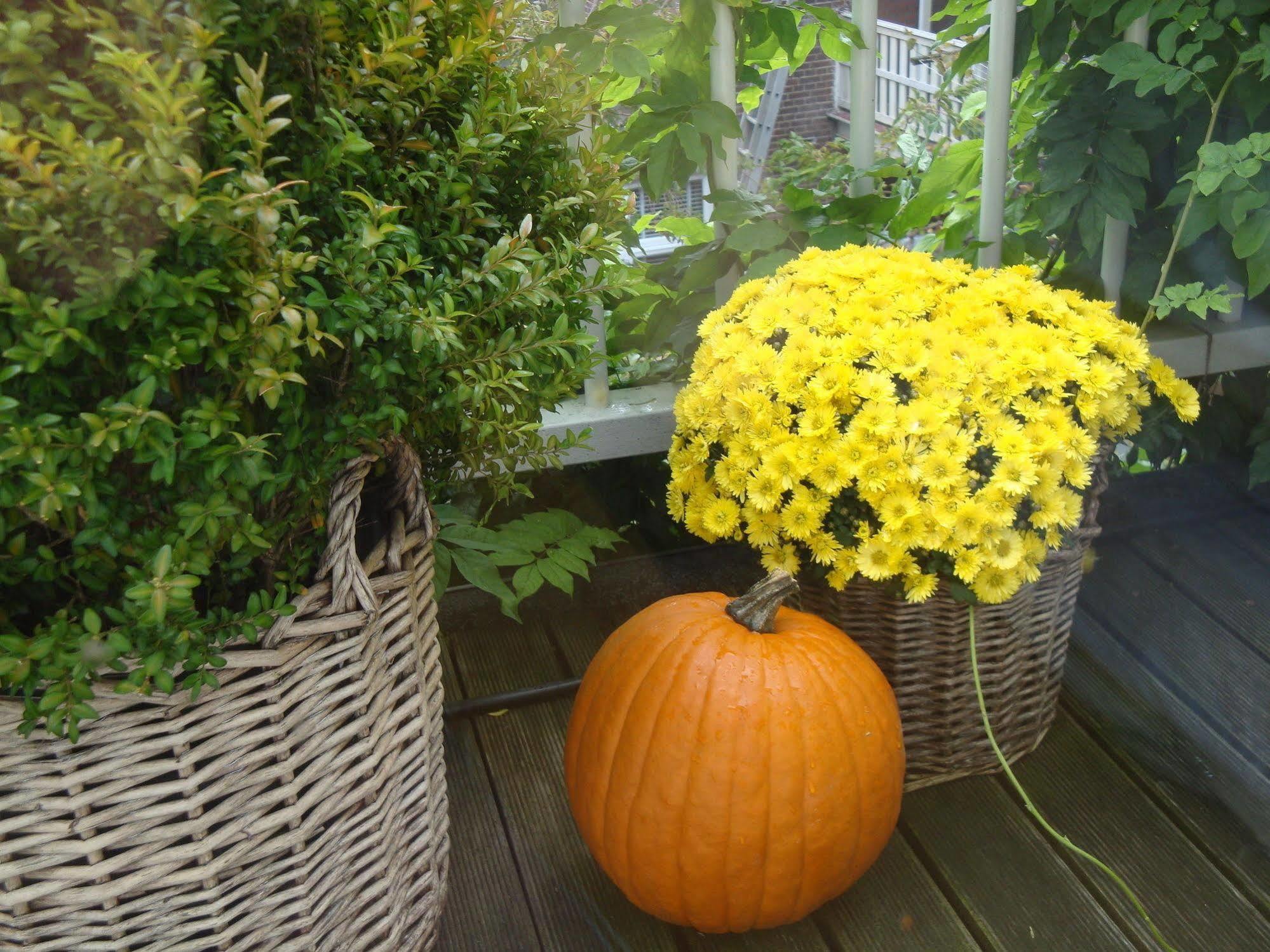 Bed And Breakfast Amsterdam Ngoại thất bức ảnh